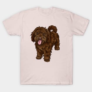 Cute Chocolate Cavapoo Dog T-Shirt